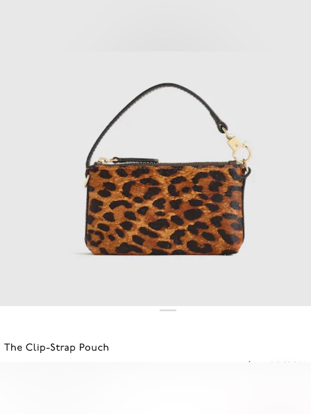 Madewell Leopard Haircalf Clip Strap Pouch - NWT